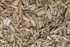 biomass boilers Dairsie