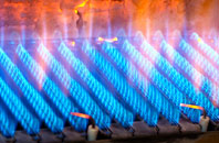 Dairsie gas fired boilers